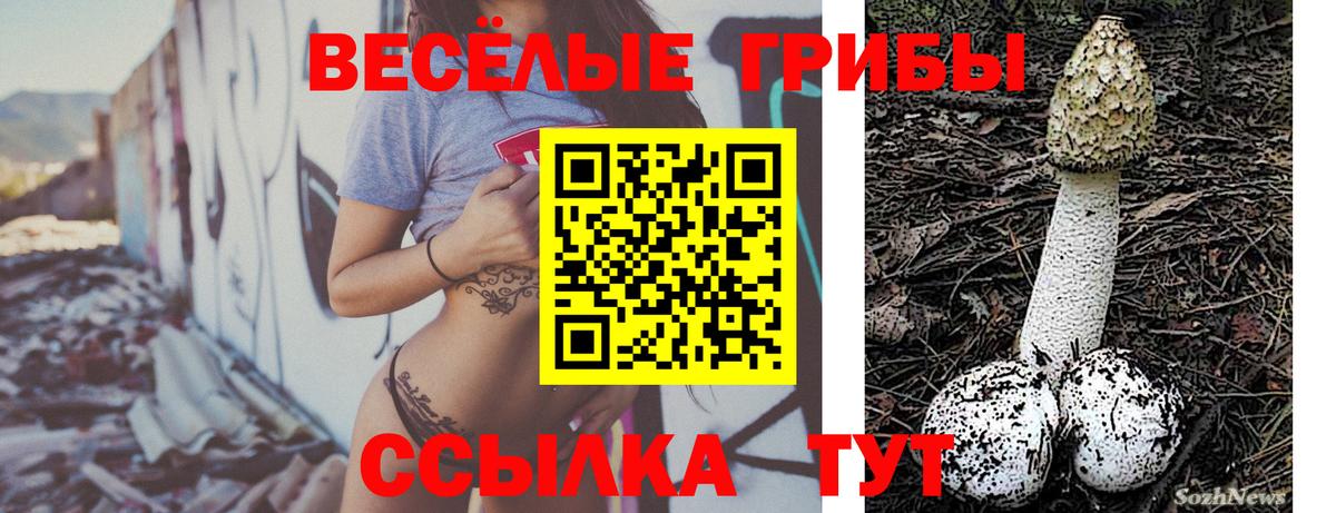 Галлюциногенные грибы ЛСД Железногорск