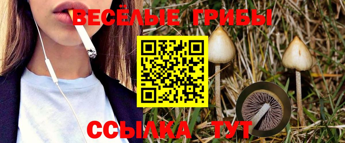 Псилоцибиновые грибы Psilocybe  продажа наркотиков  Железногорск  Вход с VPN 
